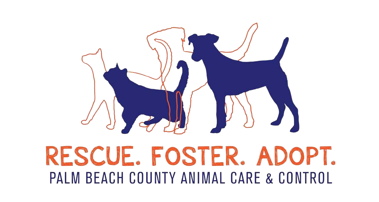 Palm Beach Country Animal Care And Control